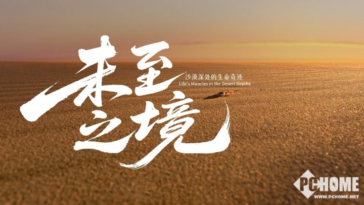 骁龙连续六年助力中国野生生物影像年赛，移动影像技术赋能自然记录(图5)