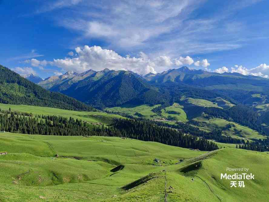 天玑9200影像技术革新 RGBW传感器+AI语意分割提升拍摄体验(图9)