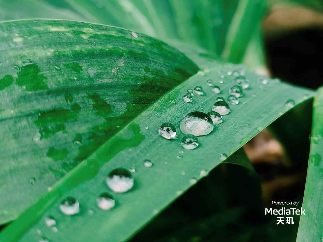 天玑9200影像技术革新 RGBW传感器+AI语意分割提升拍摄体验(图10)