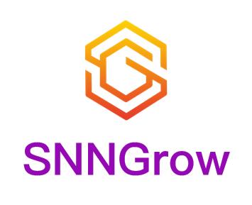 SNNGrow生长低功耗脉冲神经网络类脑仿真和训练框架 开源