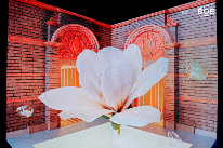 “你好BOE”重磅亮相首届上海国际光影节 打造“艺术x科技”顶级影像盛宴(图10)