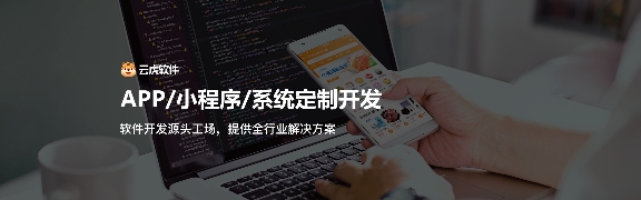 专业软件建设与开发：云虎如何打造定制化解决方案
