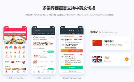 软件开发国际化解决方案详解：语言本地化与文化适配策略