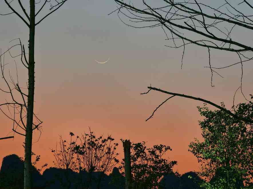 纪录片导演都用来拍大片，联发科天玑专业影像大秀黑科技(图5)