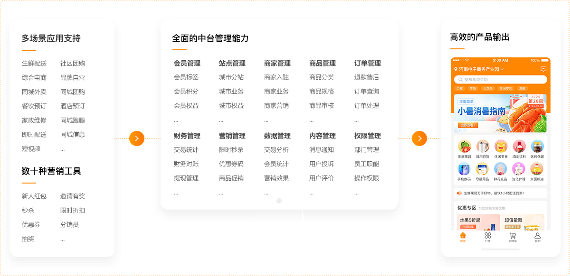 专业APP开发公司提供定制化解决方案