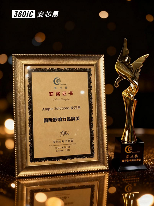 中国电子元器件国际影响力品牌之路