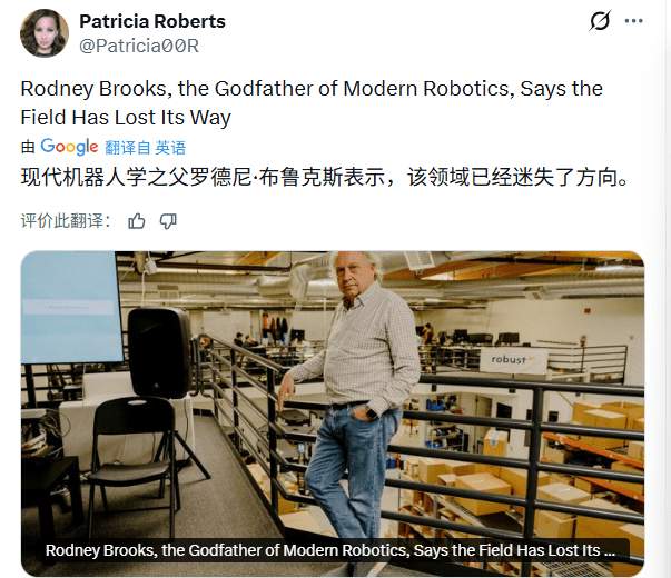 人形机器人泡沫破裂 未来或被非人类形态取代