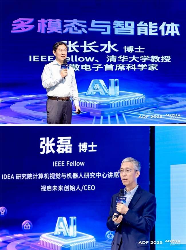 多模态芯片技术助力产业落地 2025开发者论坛聚焦智能体生态(图4)