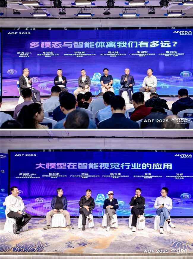 多模态芯片技术助力产业落地 2025开发者论坛聚焦智能体生态(图5)