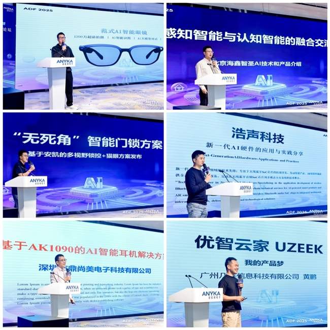 多模态芯片技术助力产业落地 2025开发者论坛聚焦智能体生态(图6)