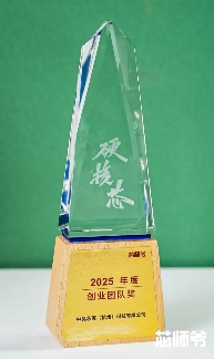 AI芯片团队创新实力获行业认可(图1)