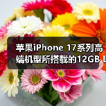 苹果iPhone 17系列高端机型所搭载的12GB LPDDR5X内存芯片被迫加价230%（图4）