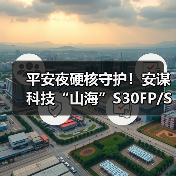 平安夜硬核守护！安谋科技“山海”S30FP/S30P SPU IP发布（图4）