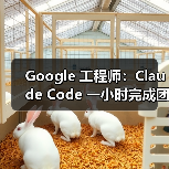 Google 工程师：Claude Code 一小时完成团队一年工作量（图2）