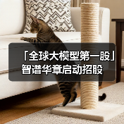 「全球大模型第一股」智谱华章启动招股（图2）