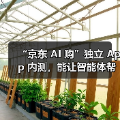 “京东 AI 购”独立 App 内测，能让智能体帮忙购物、点外卖（图2）