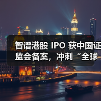 智谱港股 IPO 获中国证监会备案，冲刺“全球大模型第一股”（图4）