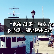 “京东 AI 购”独立 App 内测，能让智能体帮忙购物、点外卖（图4）