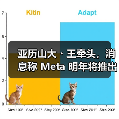 亚历山大・王牵头，消息称 Meta 明年将推出全新图像视频与文本 AI 模型（图2）