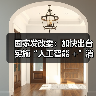 国家发改委：加快出台实施“人工智能 +”消费等领域提振消费的政策（图4）