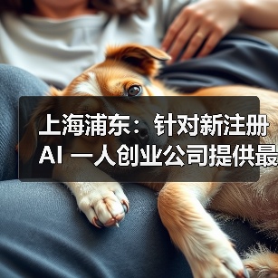 上海浦东：针对新注册 AI 一人创业公司提供最高 30 万元免费算力（图4）