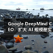 Google DeepMind CEO：扩大 AI 规模是实现 AGI 的关键（图4）