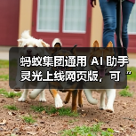 蚂蚁集团通用 AI 助手灵光上线网页版，可“30 秒用自然语言生成小应用”（图4）
