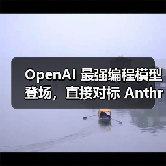 OpenAI 最强编程模型登场，直接对标 Anthropic（图2）