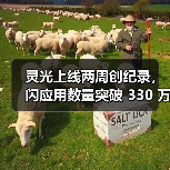 灵光应用爆发增长：30秒生成可交互AI小工具
