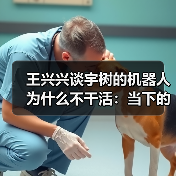 王兴兴谈宇树的机器人为什么不干活：当下的技术差一点火候（图3）