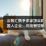云智汇携手多家顶尖机器人企业，共绘智能制造新蓝图（图4）