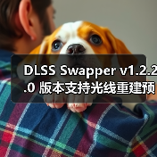 DLSS Swapper v1.2.2.0 版本支持光线重建预设并扩展游戏支持（图3）