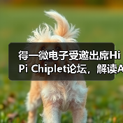 得一微电子受邀出席HiPi Chiplet论坛，解读AI存力芯片创新路径（图3）