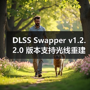 DLSS Swapper v1.2.2.0 版本支持光线重建预设并扩展游戏支持（图4）