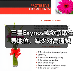 三星自研GPU挑战高通，Exynos 2600引领芯片革新