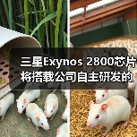 三星Exynos 2800芯片将搭载公司自主研发的GPU，预计于2027年正式推出（图2）